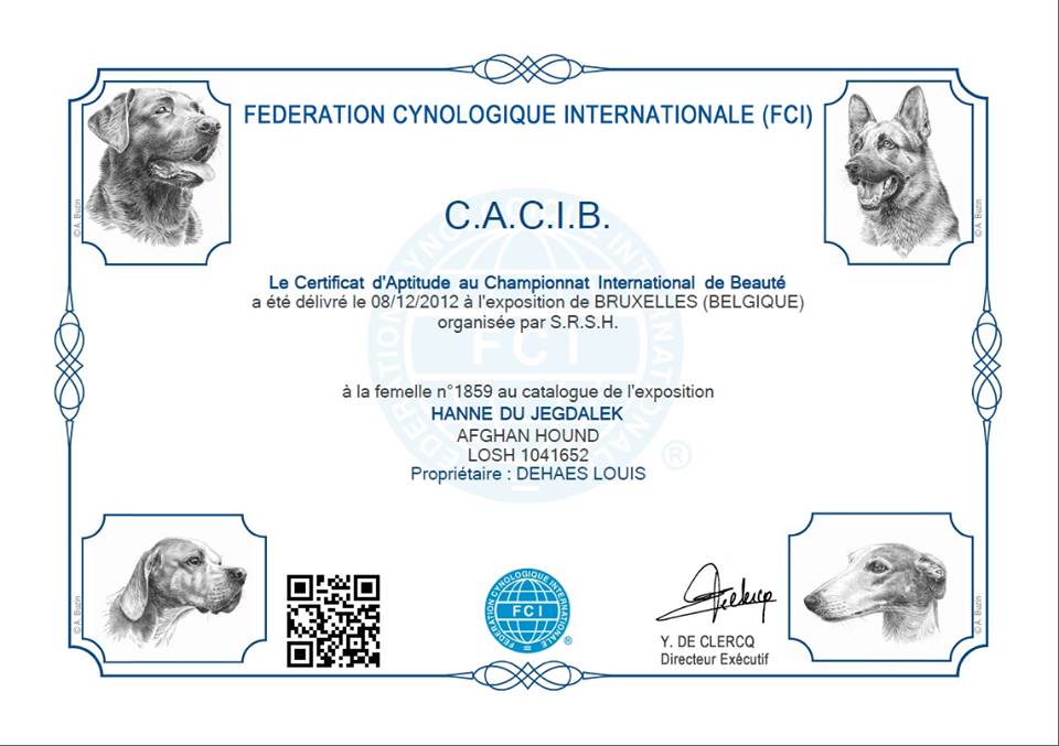 Изменения в функциях сайта FCI и бланках, подтверждающих титулы CACIB 4475-0