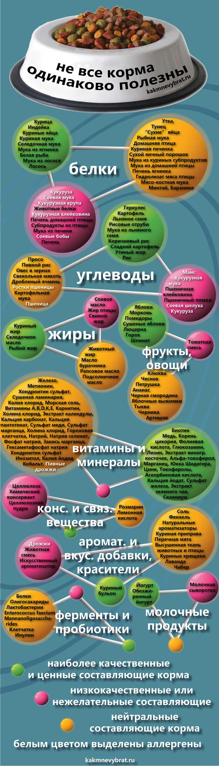 Как выбрать хороший сухой корм? 11299-1