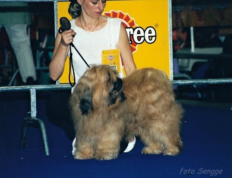 World Dog Show Milano 2000 8599-27