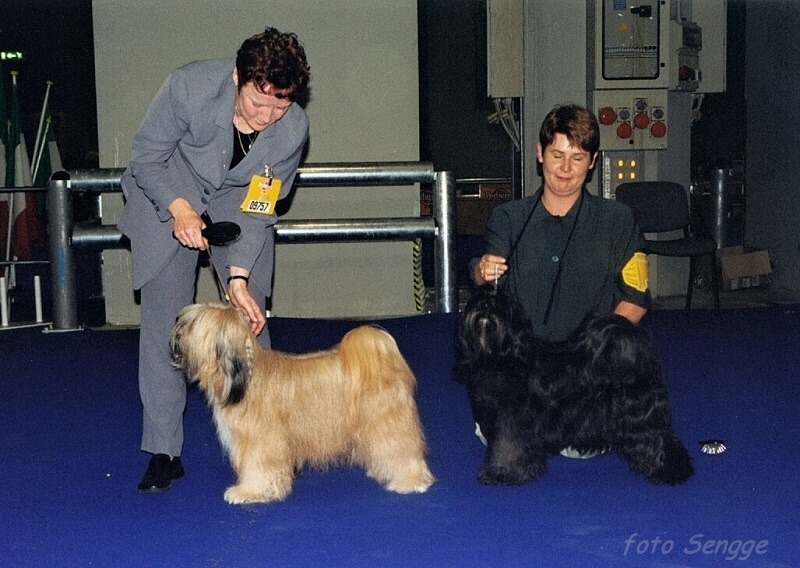 World Dog Show Milano 2000 8617-36