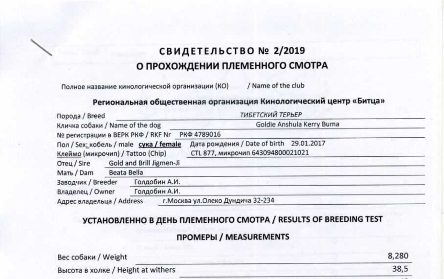 16.02.2019 Плем.смотр (РКФ) г.Москва ЮЗАО,+Тестирование. 21414-3