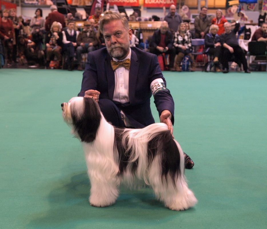 Crufts 2016 12403-26