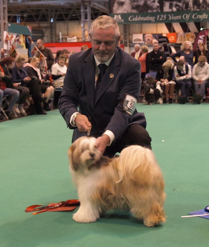 Crufts 2016 12433-43