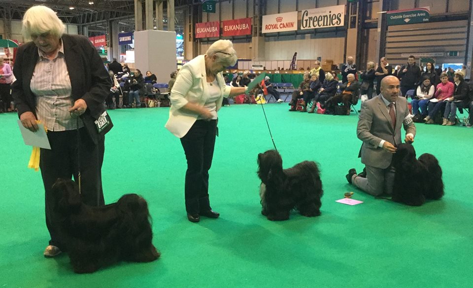 Crufts 2016 12481-66