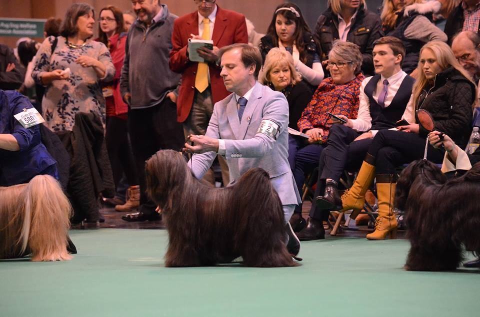 Crufts 2016 12497-5