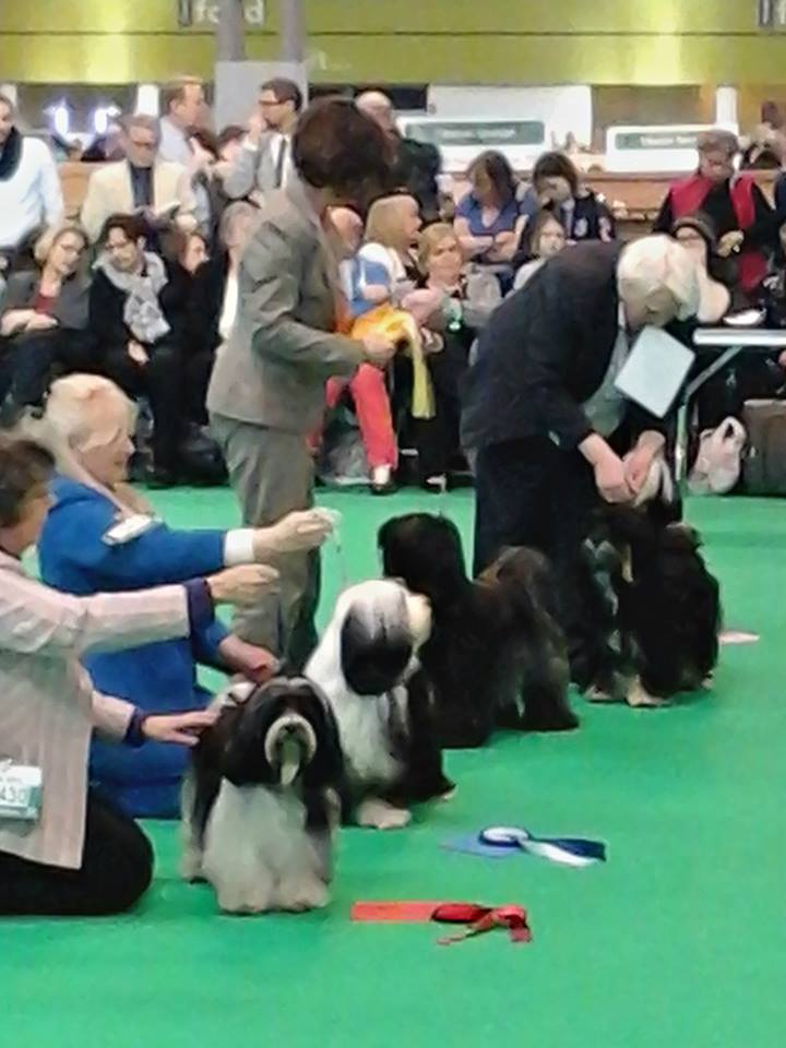 Crufts 2014 4147-60