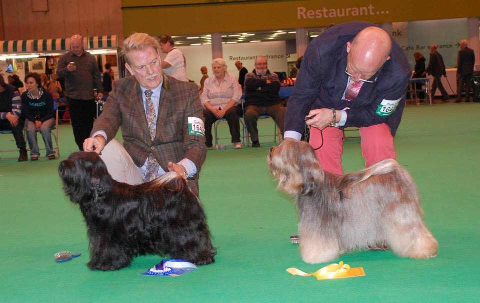 Crufts 2014 4232-77