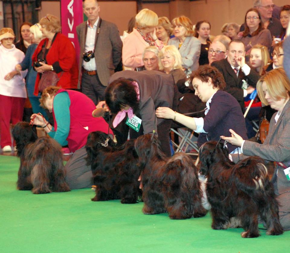 Crufts 2014 4244-68