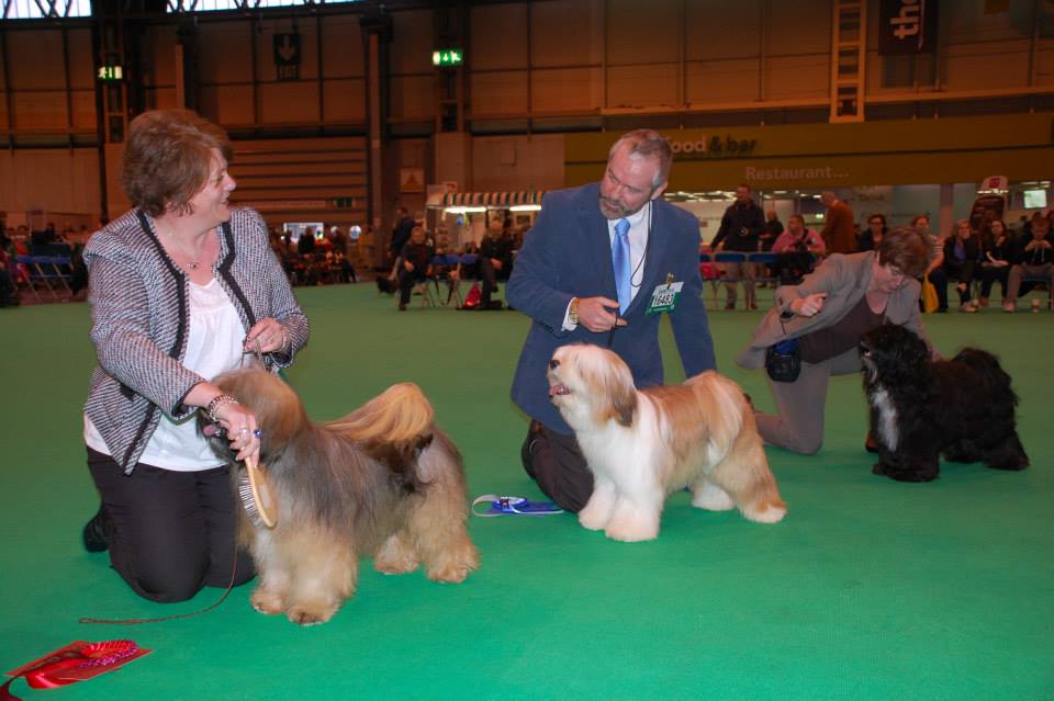 Crufts 2014 4264-11