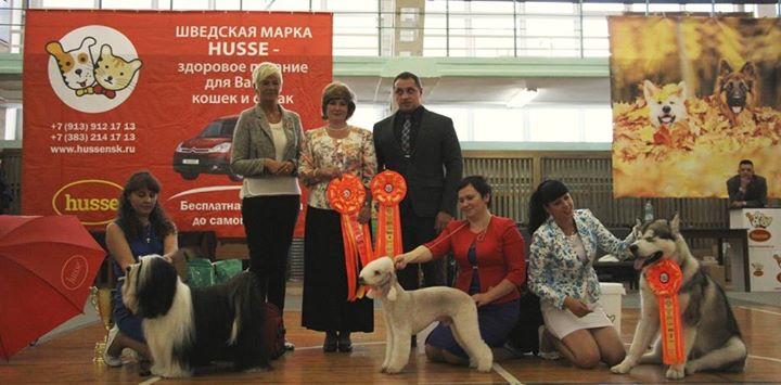 Питомник "VIP Collection" 10144-1