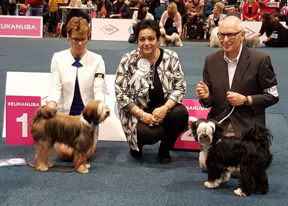 World Dog Show 2017 Лейпциг (Германия). 18440-0