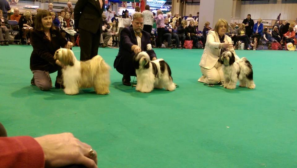 Crufts 2016 12341-8