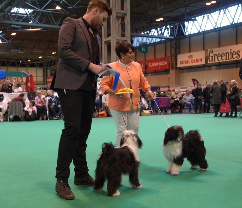 Crufts 2016 12383-15