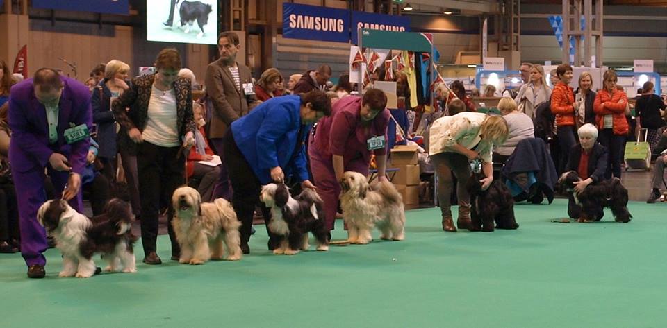 Crufts 2016 12385-16