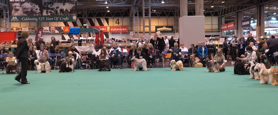 Crufts 2016 12431-42