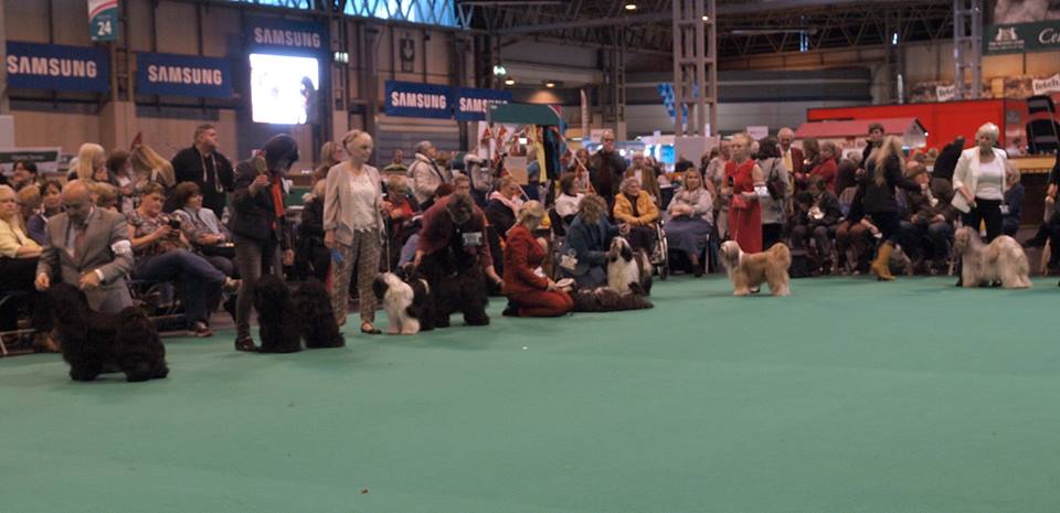 Crufts 2016 12443-47