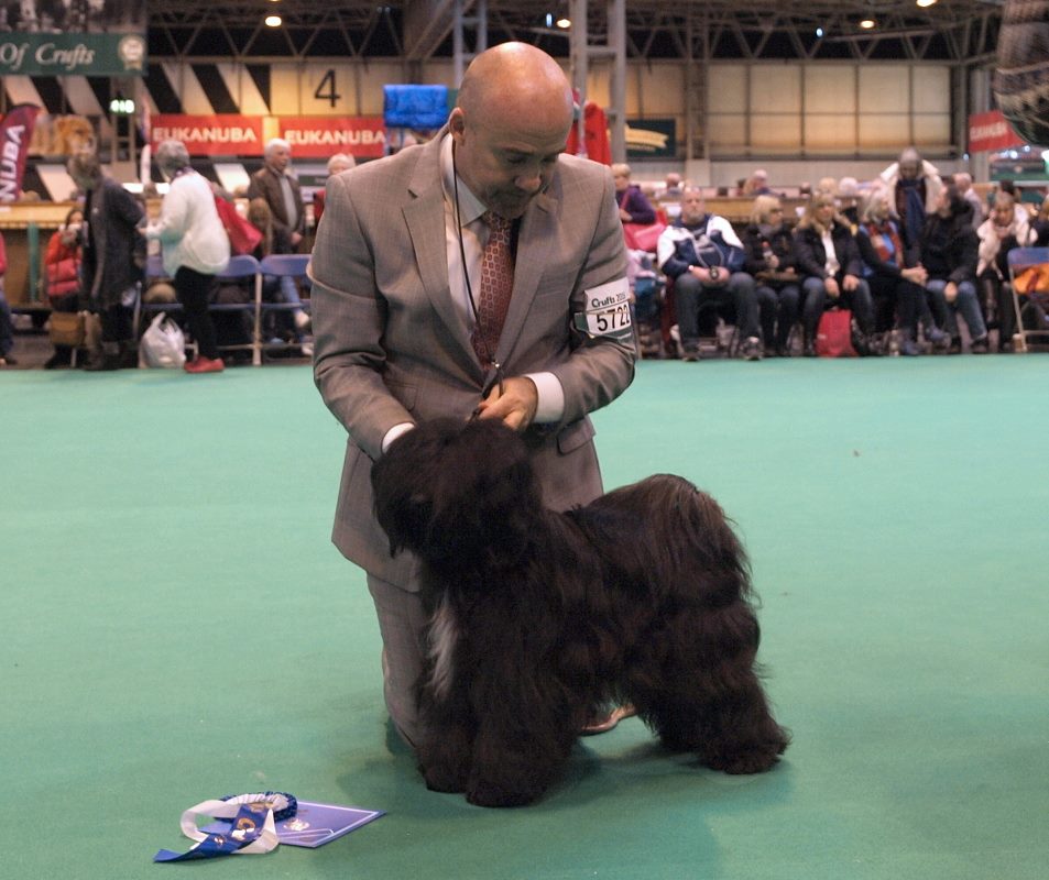Crufts 2016 12449-50