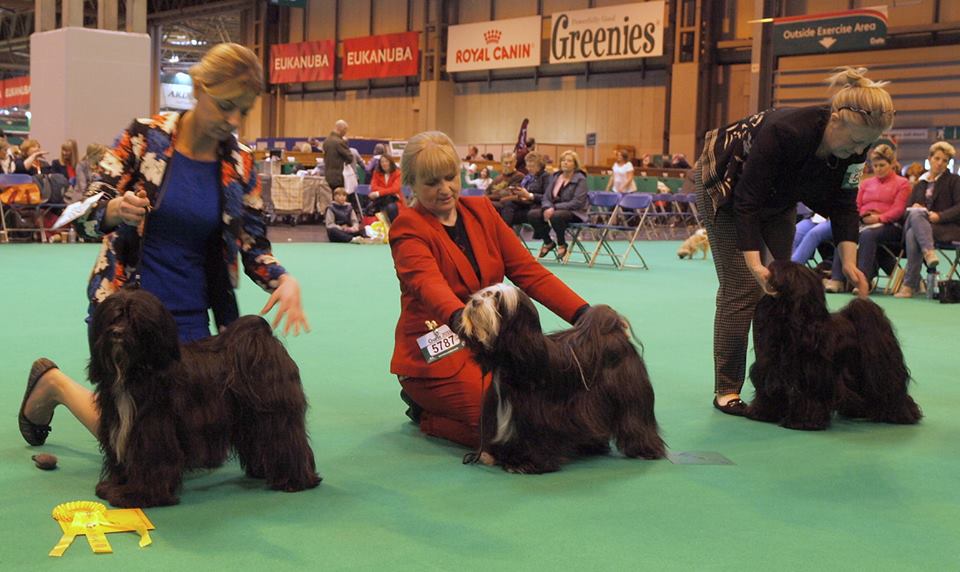 Crufts 2016 12455-51