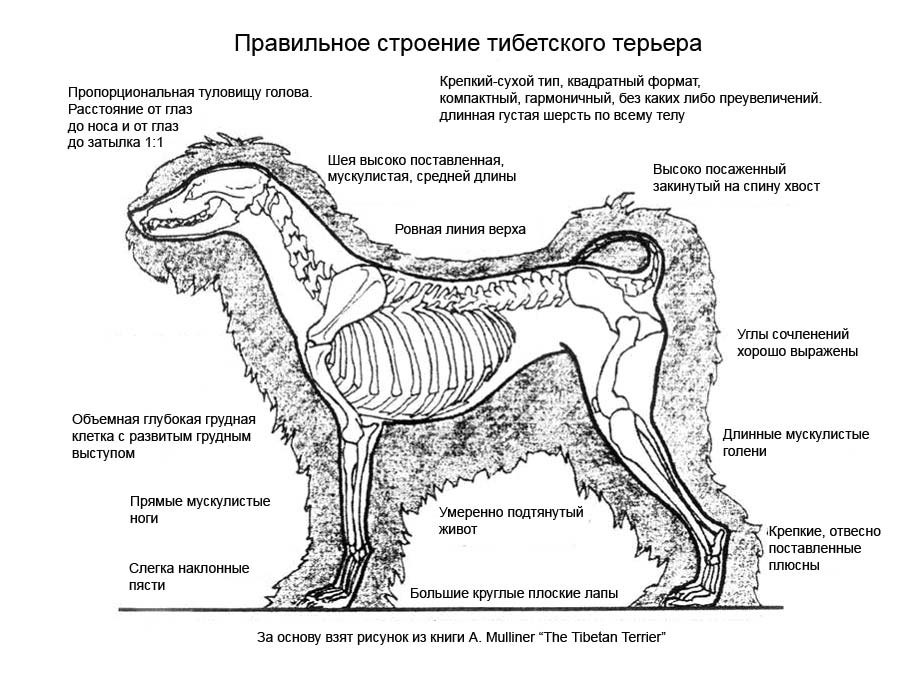 Иллюстрированное руководство 22469-0