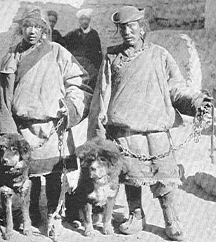"Собаки Тибета" - главы из Kennel Encyclopedia – 1908 г. 254-1