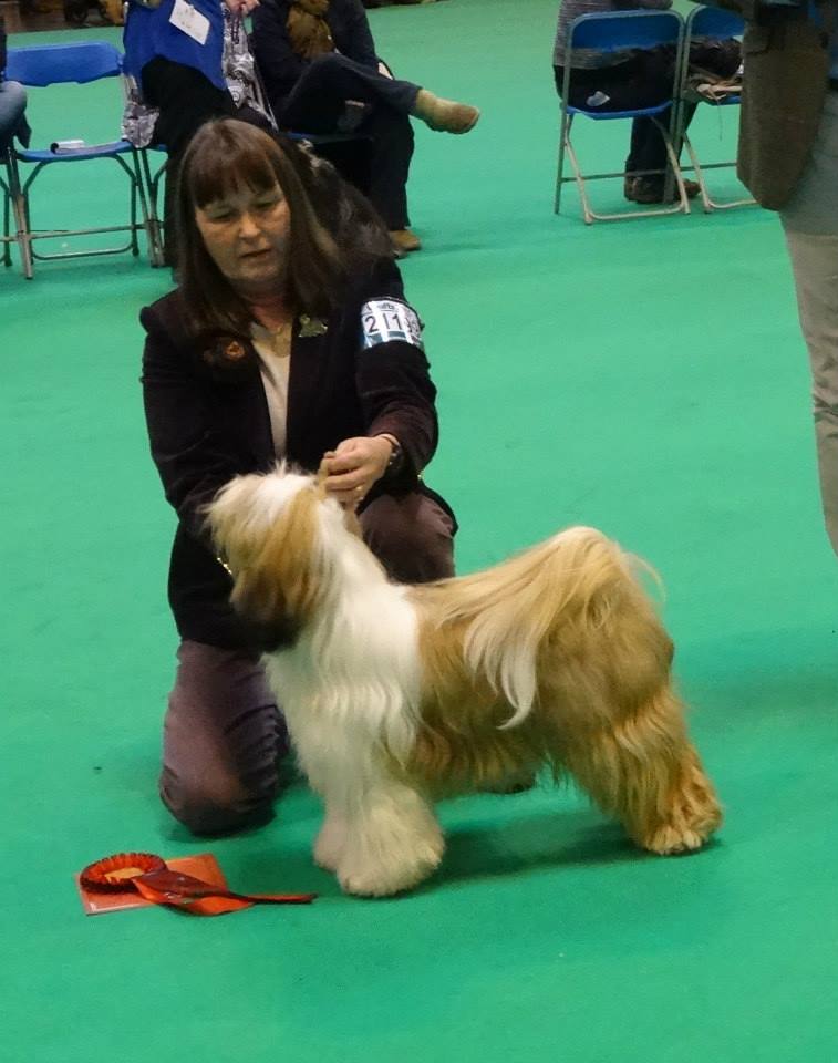 Crufts 2015 7967-23