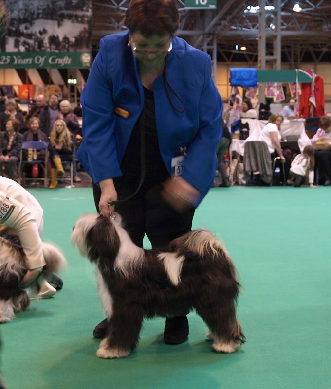Crufts 2016 12391-20