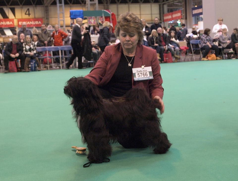 Crufts 2016 12407-28