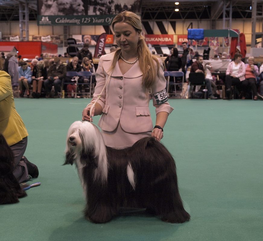 Crufts 2016 12425-39