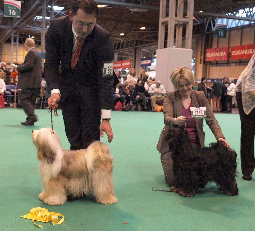 Crufts 2016 12437-45