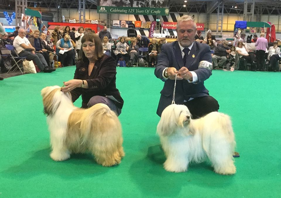 Crufts 2016 12475-63
