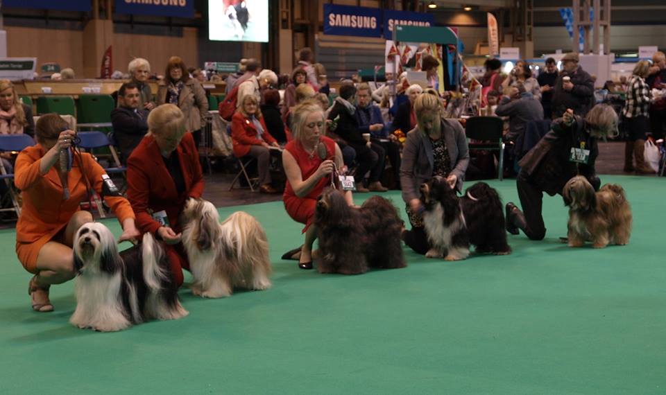 Crufts 2016 12491-9