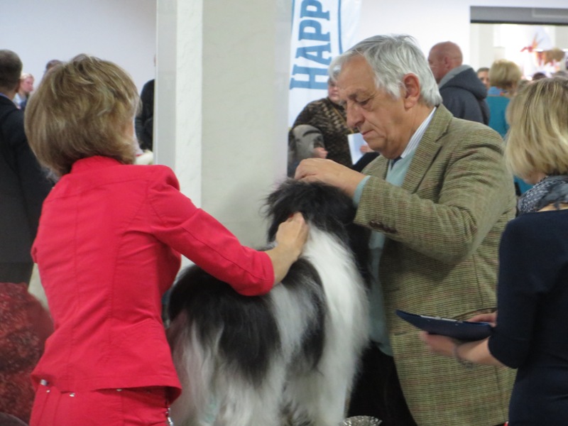 13-14.12.2014 г. "Невский победитель 2014" г.Санкт-Петербург 6717-4