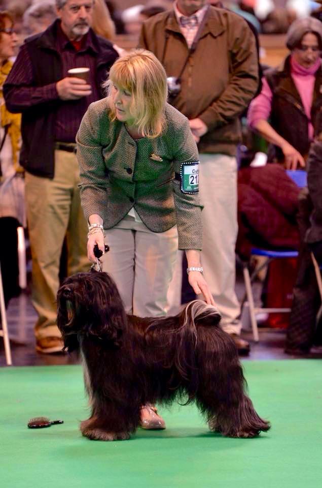 Crufts 2015 7949-13