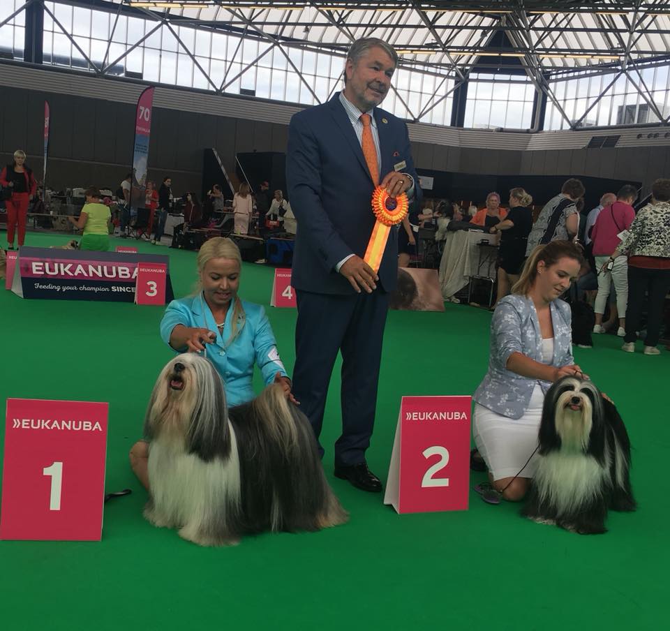 World Dog Show 2018 Amsterdam (THE NETHERLANDS) 20773-1