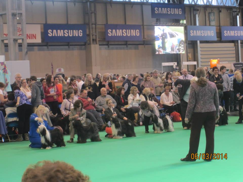 Crufts 2014 4139-59
