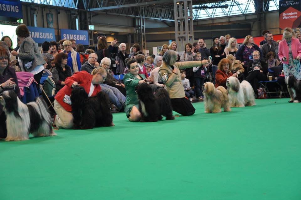 Crufts 2014 4212-43