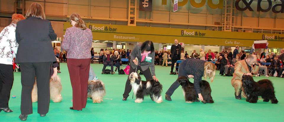 Crufts 2014 4282-24