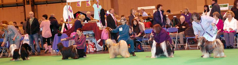 Crufts 2014 4288-1