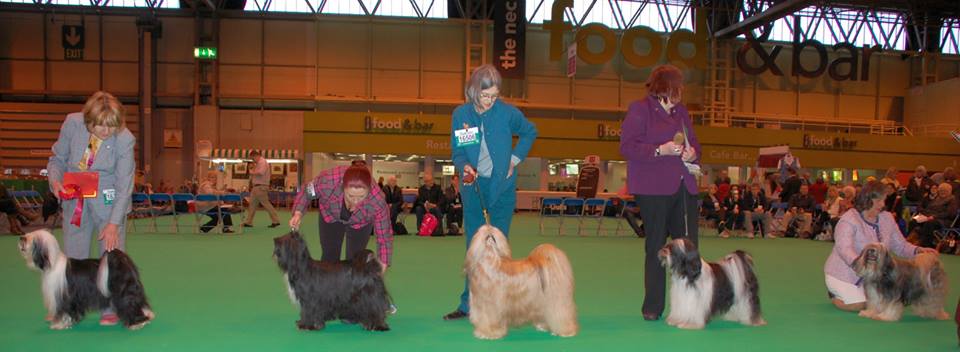Crufts 2014 4290-2