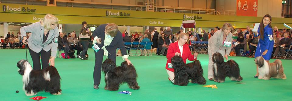 Crufts 2014 4318-28