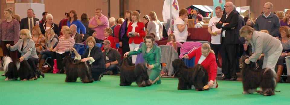 Crufts 2014 4320-27