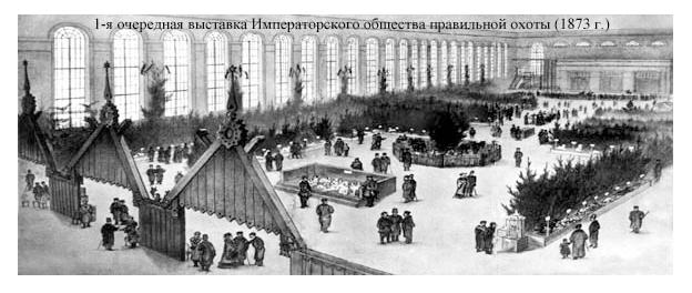 История первых выставок собак 9124-1