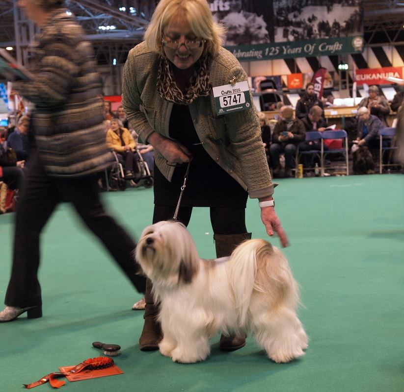Crufts 2016 12421-36