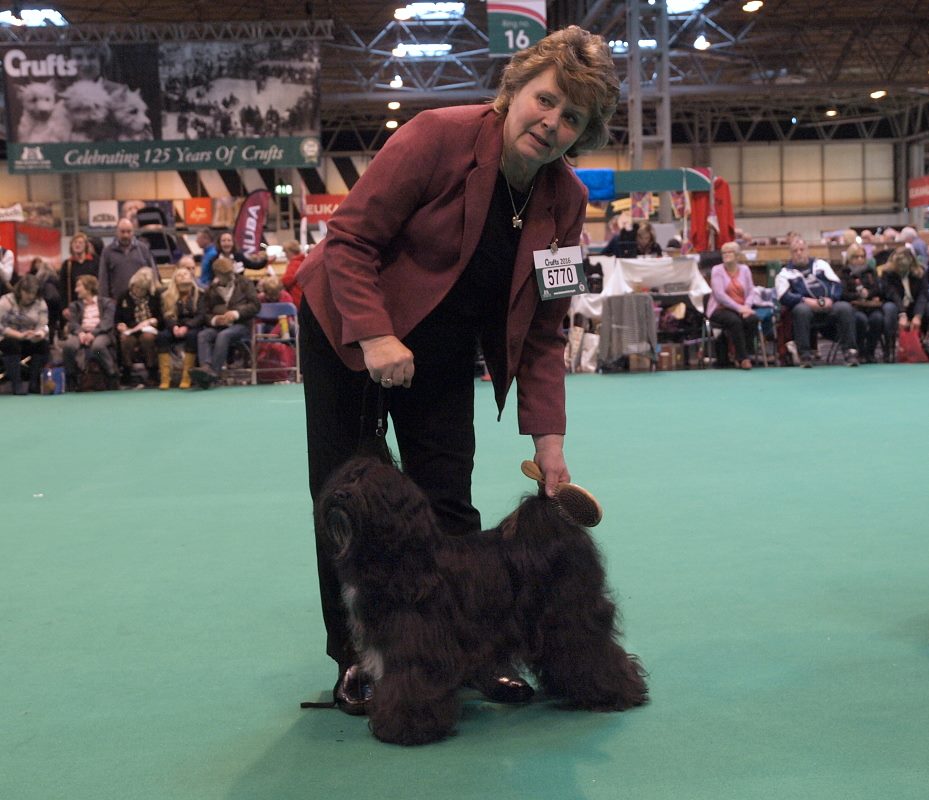 Crufts 2016 12447-49