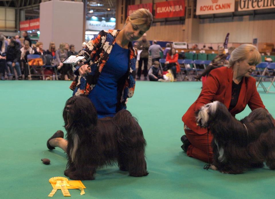 Crufts 2016 12451-52