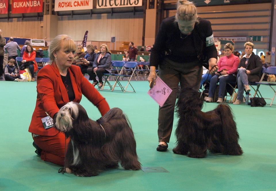 Crufts 2016 12453-53