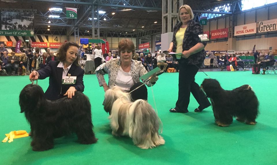 Crufts 2016 12469-60
