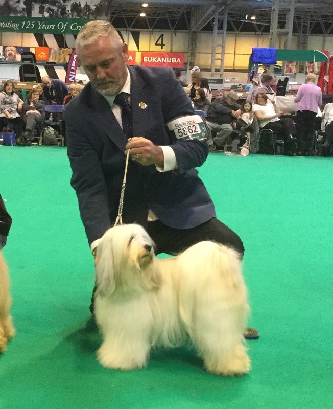 Crufts 2016 12477-64