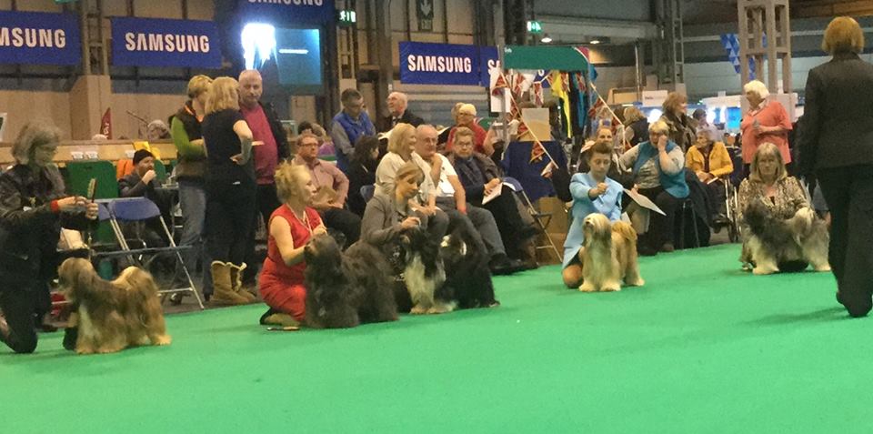 Crufts 2016 12483-67