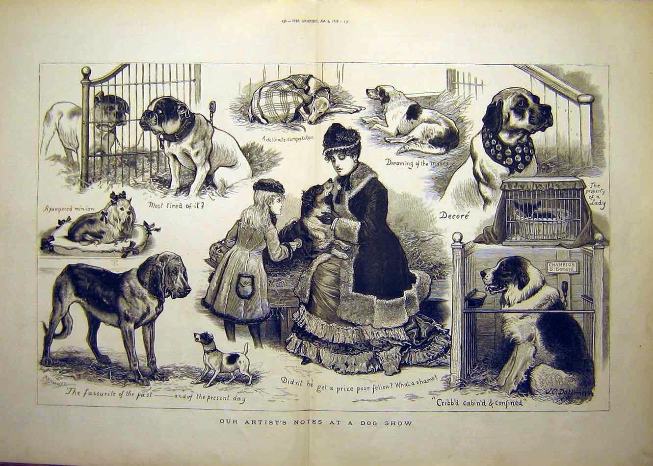 1895 год «Собачий спорт на западе» Сабанеев Л.П. 9134-1